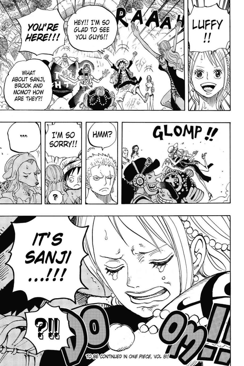 One Piece Manga Manga Chapter - 806 - image 16