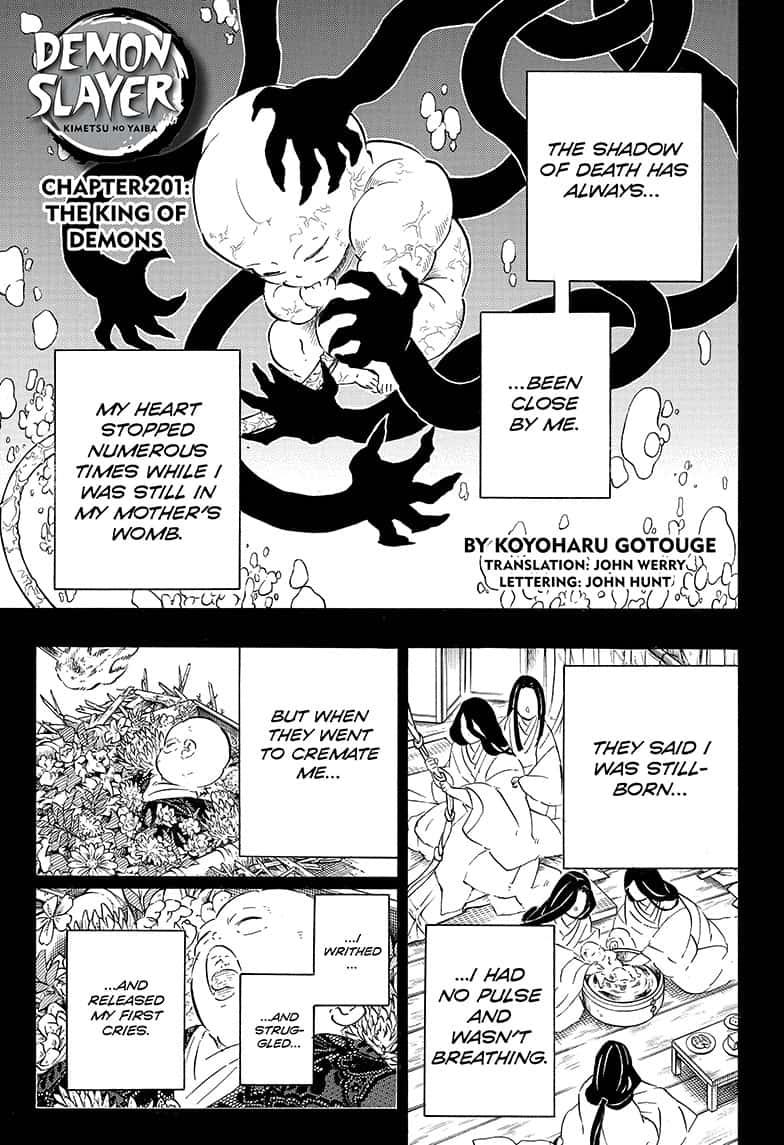 Demon Slayer Manga Manga Chapter - 201 - image 1