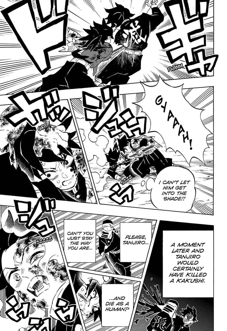 Demon Slayer Manga Manga Chapter - 201 - image 10