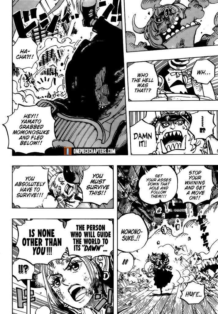 One Piece Manga Manga Chapter - 996 - image 11
