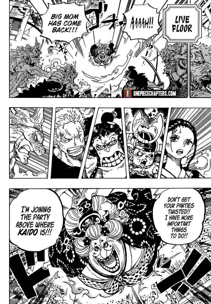 One Piece Manga Manga Chapter - 996 - image 17