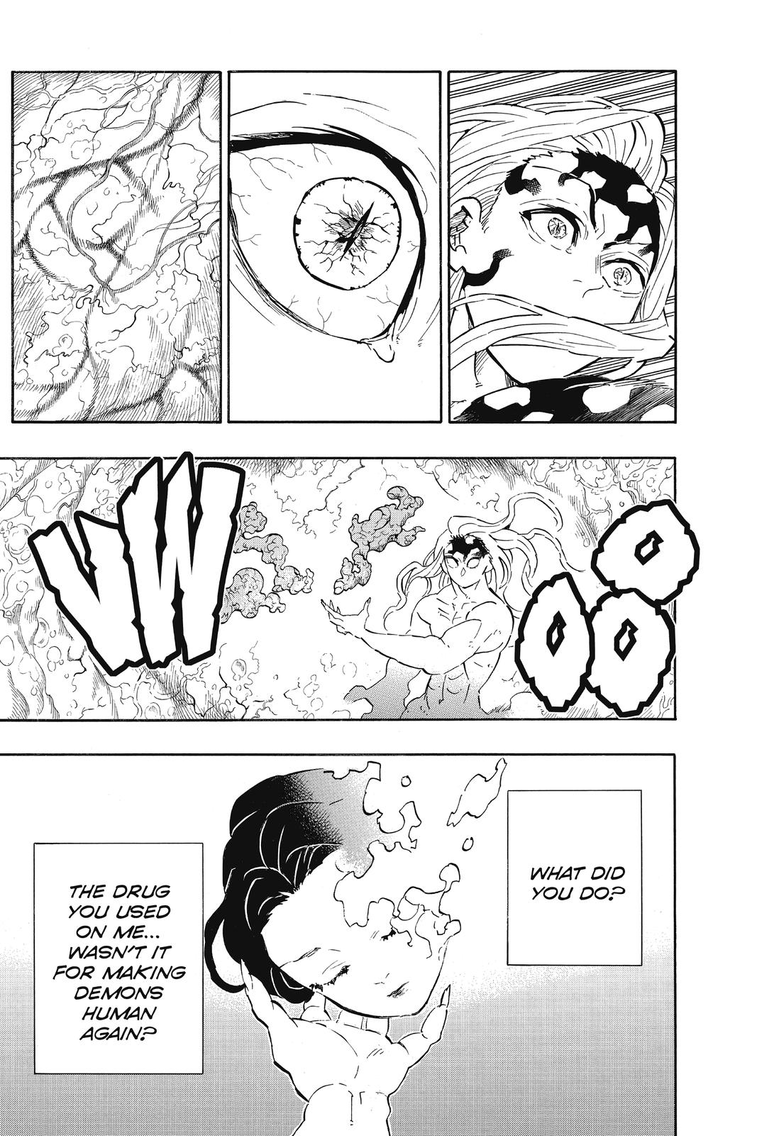 Demon Slayer Manga Manga Chapter - 193 - image 11