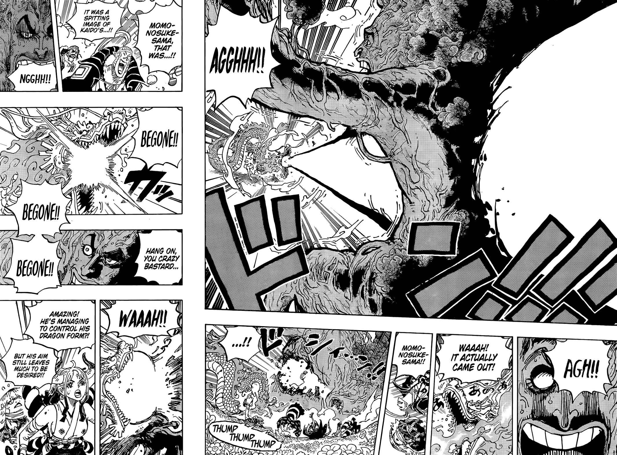 One Piece Manga Manga Chapter - 1055 - image 15