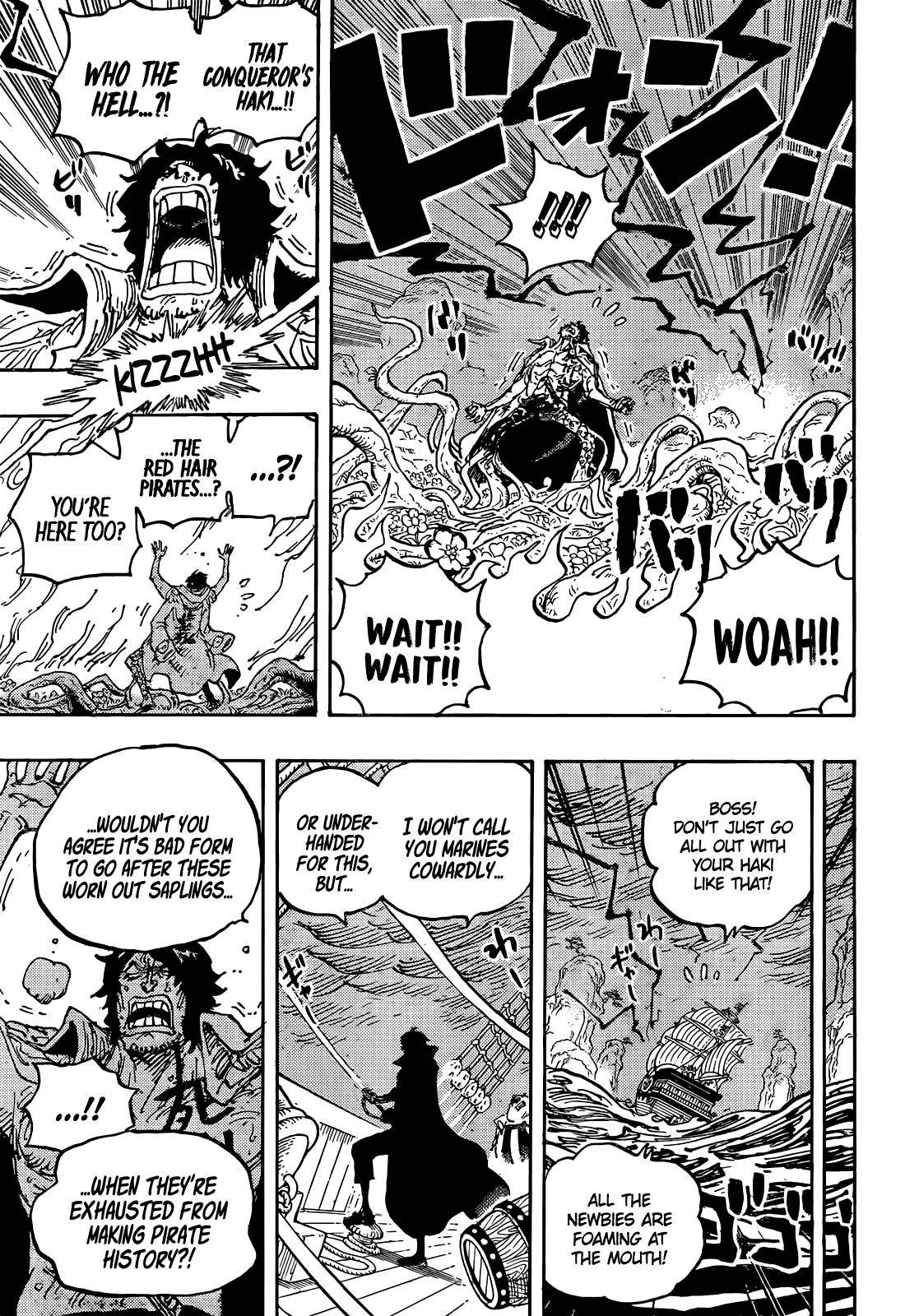 One Piece Manga Manga Chapter - 1055 - image 17