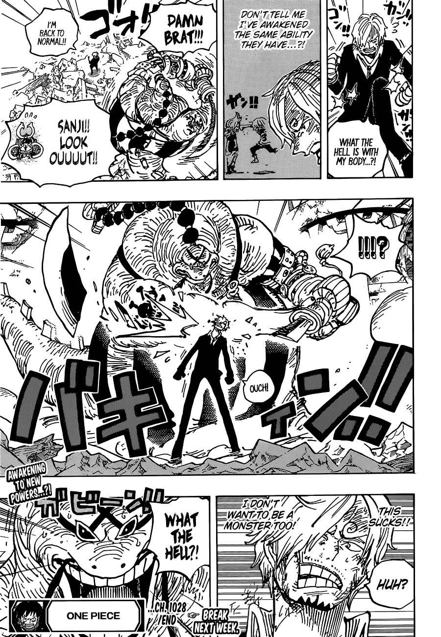 One Piece Manga Manga Chapter - 1028 - image 18