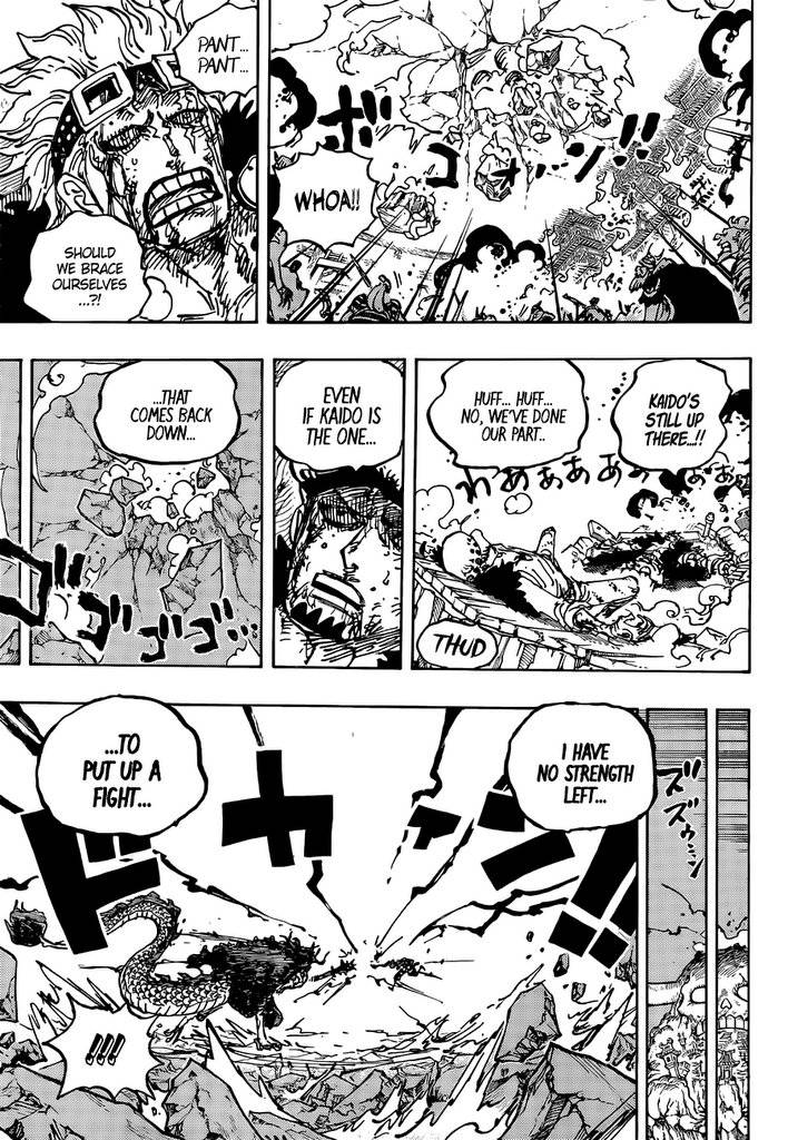 One Piece Manga Manga Chapter - 1041 - image 14