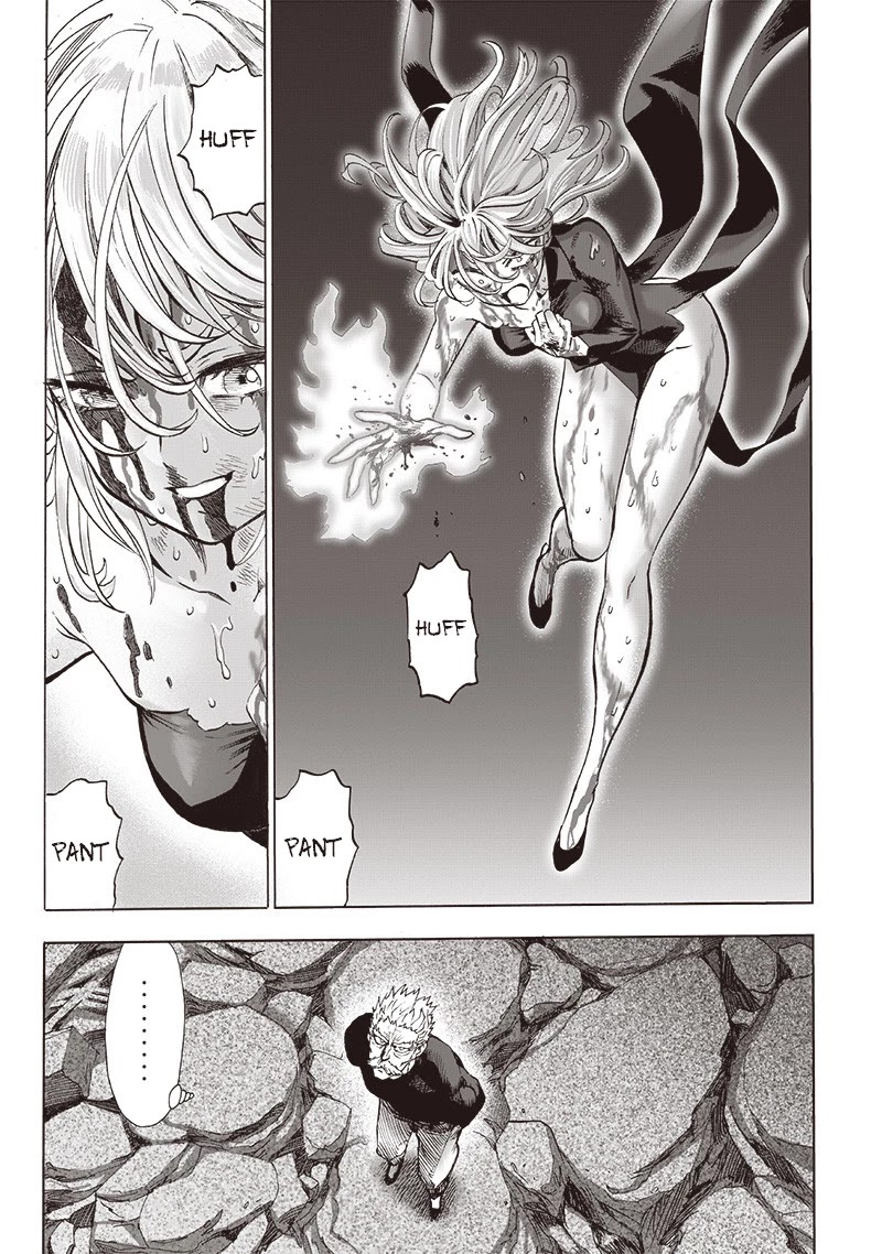 One Punch Man Manga Manga Chapter - 141 - image 10