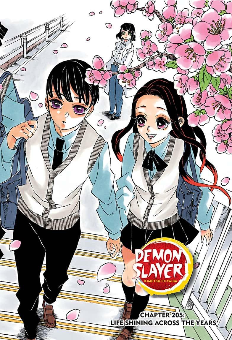 Demon Slayer Manga Manga Chapter - 205 - image 2