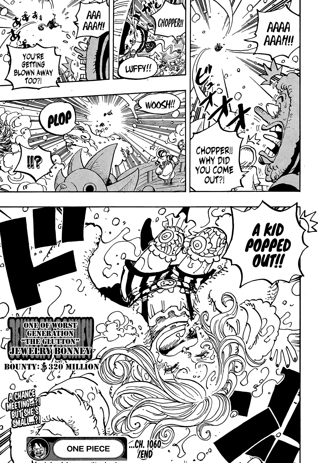 One Piece Manga Manga Chapter - 1060 - image 17
