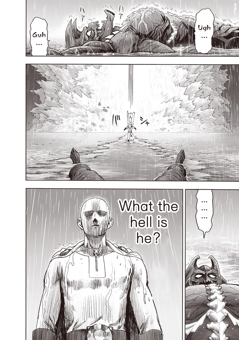One Punch Man Manga Manga Chapter - 164 - image 25