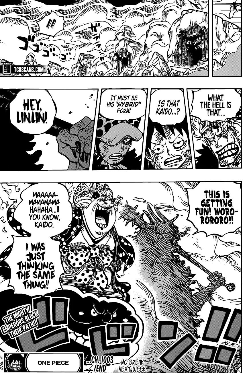 One Piece Manga Manga Chapter - 1003 - image 14