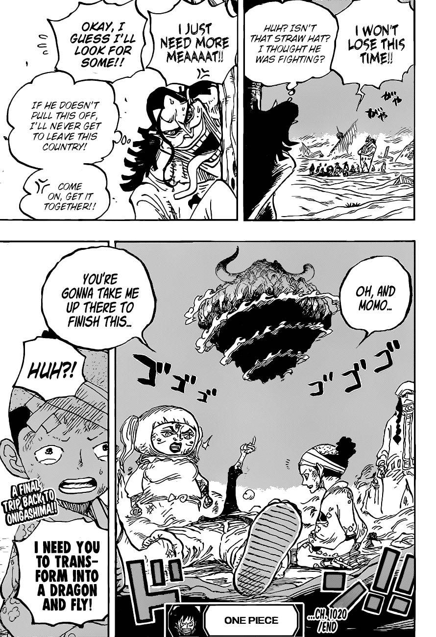 One Piece Manga Manga Chapter - 1020 - image 18