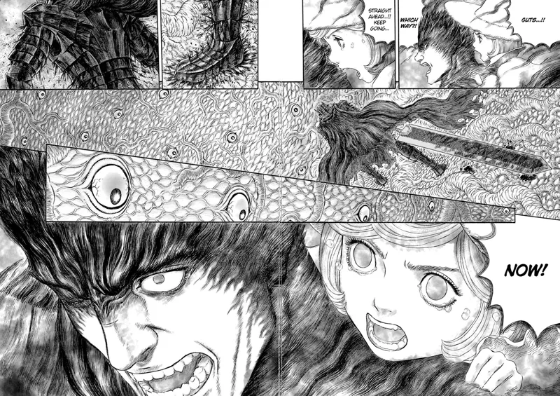 Berserk Manga Chapter - 326 - image 11