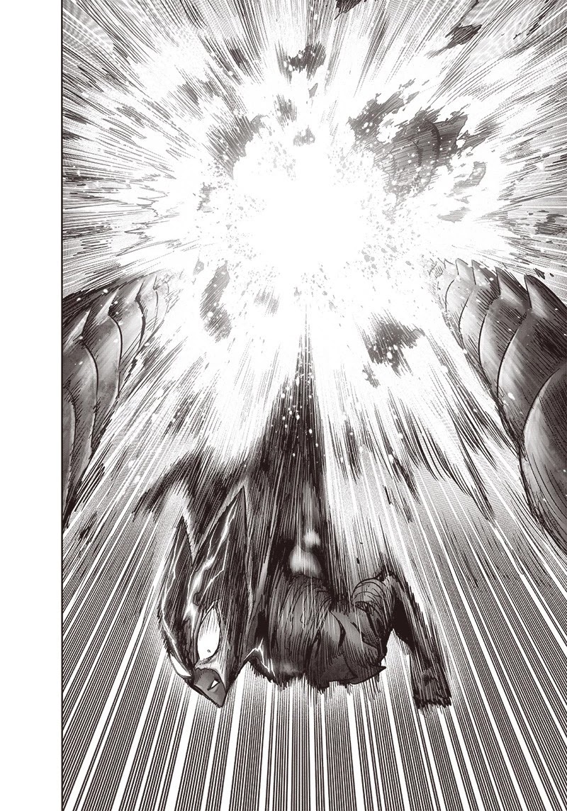 One Punch Man Manga Manga Chapter - 159 - image 11