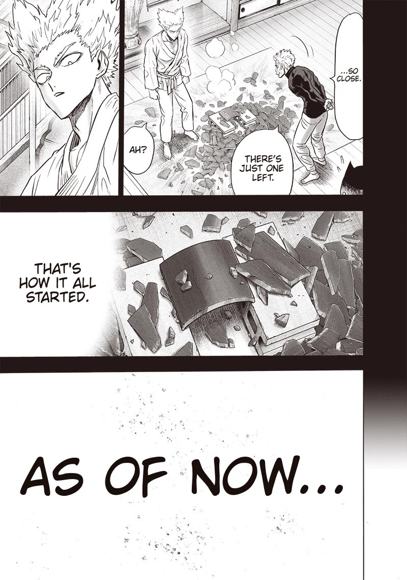 One Punch Man Manga Manga Chapter - 159 - image 16