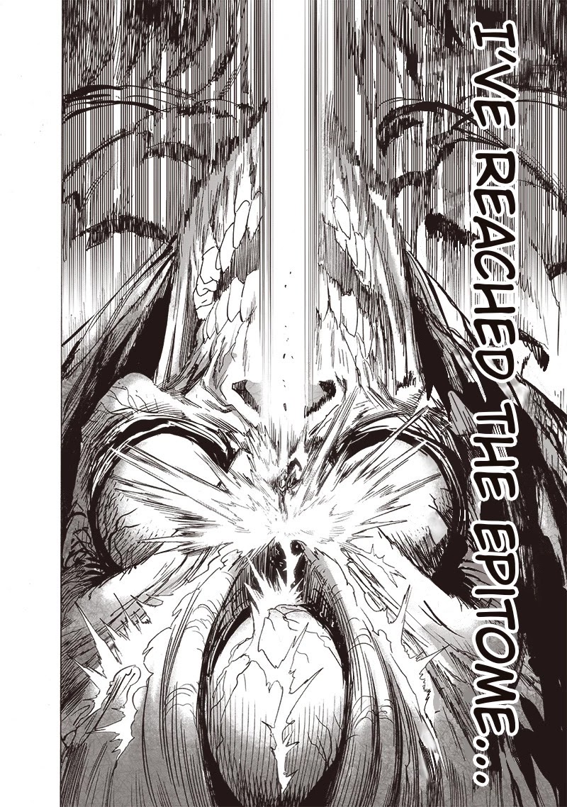 One Punch Man Manga Manga Chapter - 159 - image 17