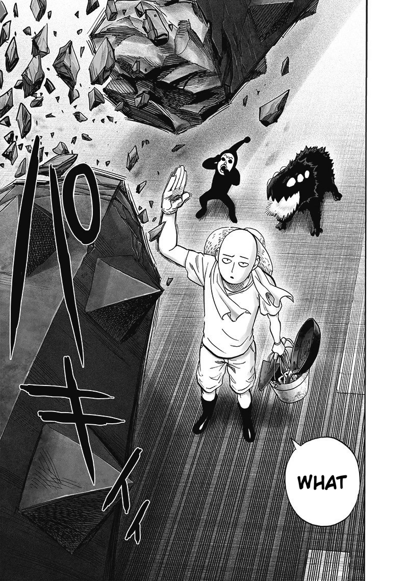 One Punch Man Manga Manga Chapter - 172 - image 20