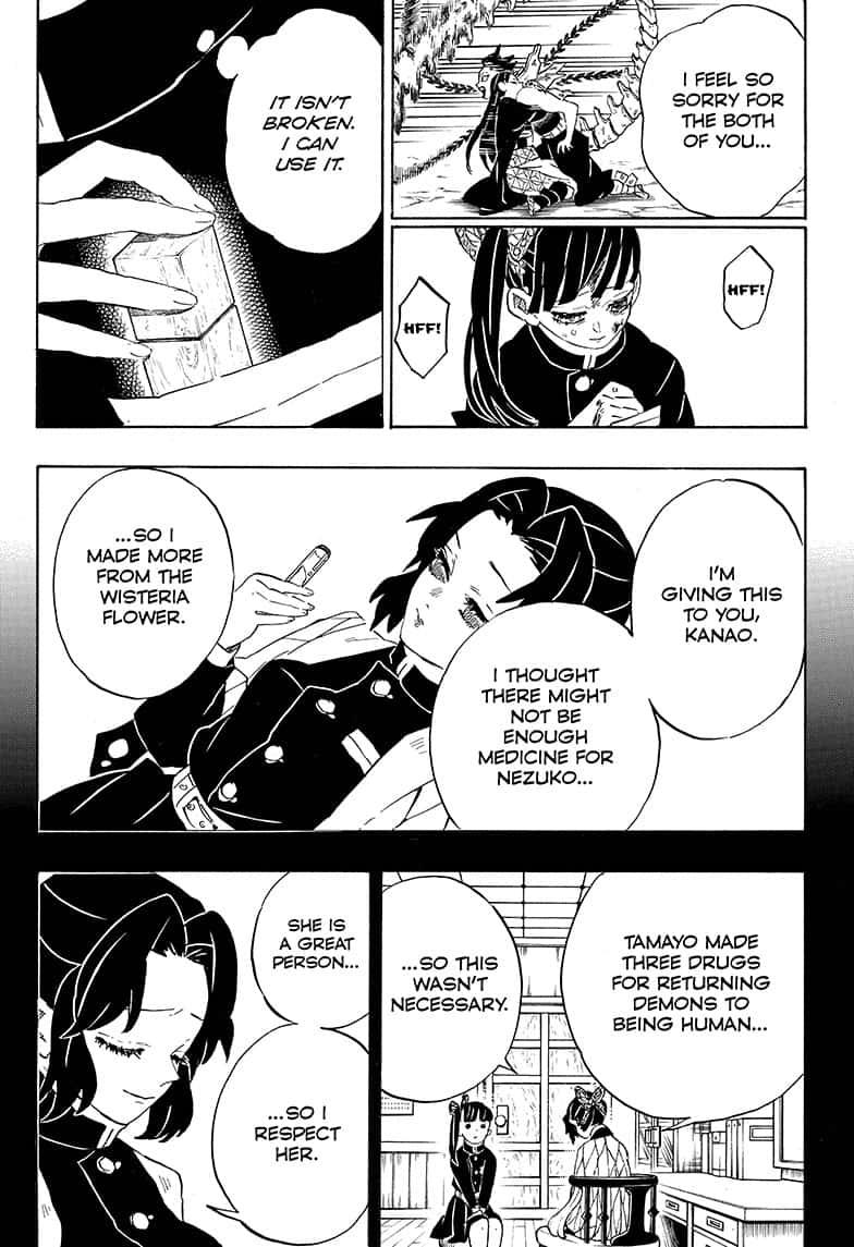 Demon Slayer Manga Manga Chapter - 202 - image 10