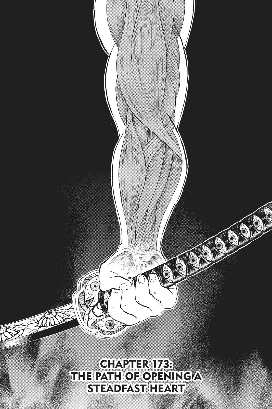 Demon Slayer Manga Manga Chapter - 173 - image 1