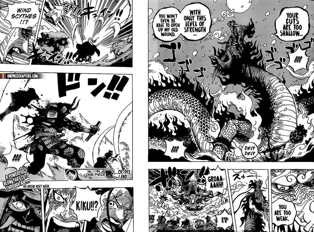 One Piece Manga Manga Chapter - 993 - image 16