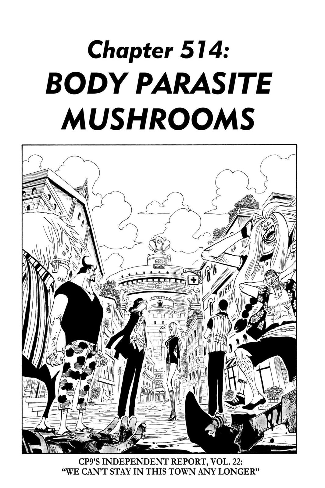 One Piece Manga Manga Chapter - 514 - image 1