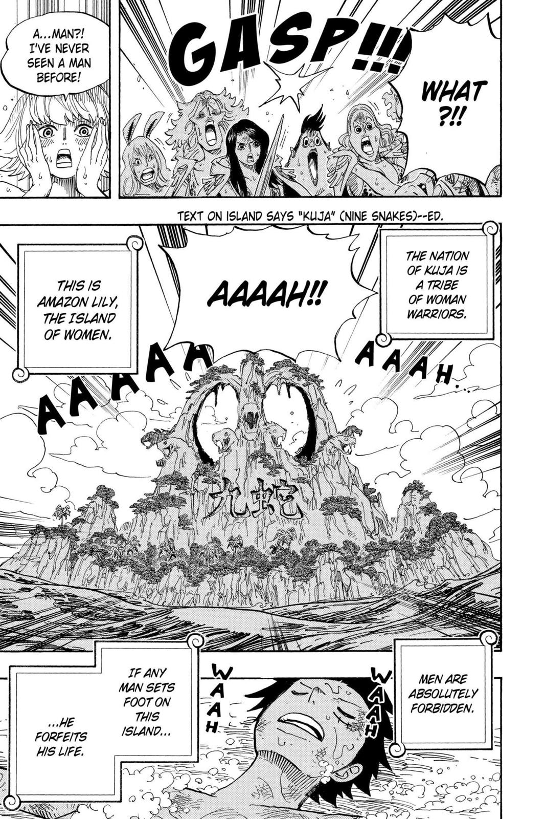 One Piece Manga Manga Chapter - 514 - image 18