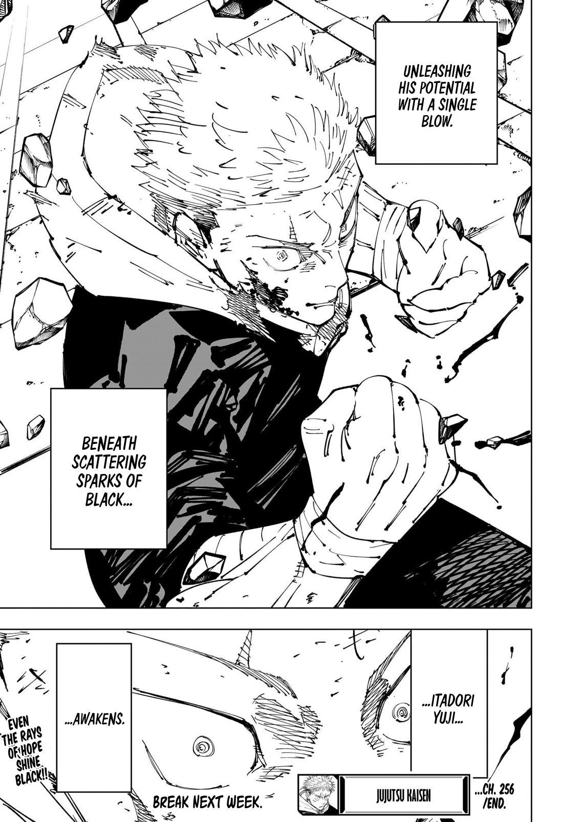 Jujutsu Kaisen Manga Chapter - 256 - image 19