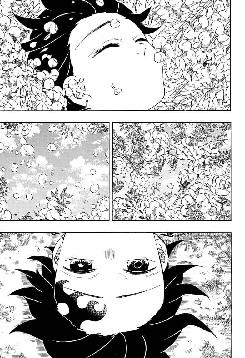Demon Slayer Manga Manga Chapter - 203 - image 13
