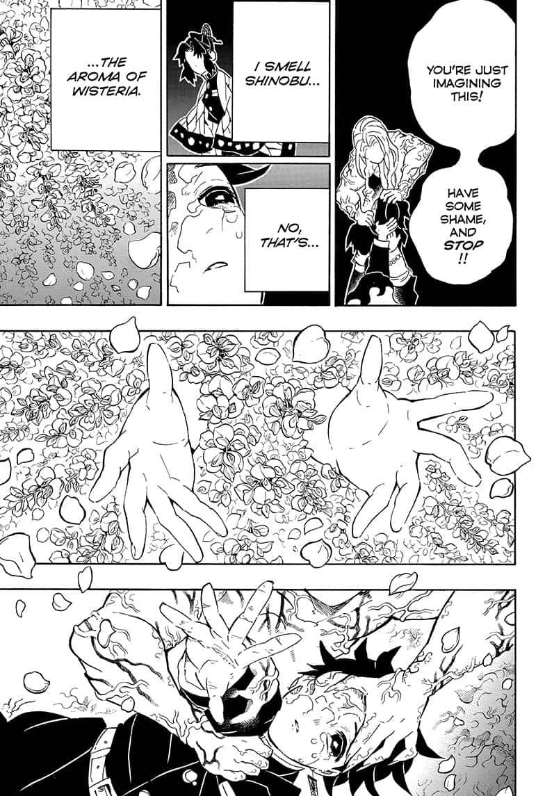 Demon Slayer Manga Manga Chapter - 203 - image 8