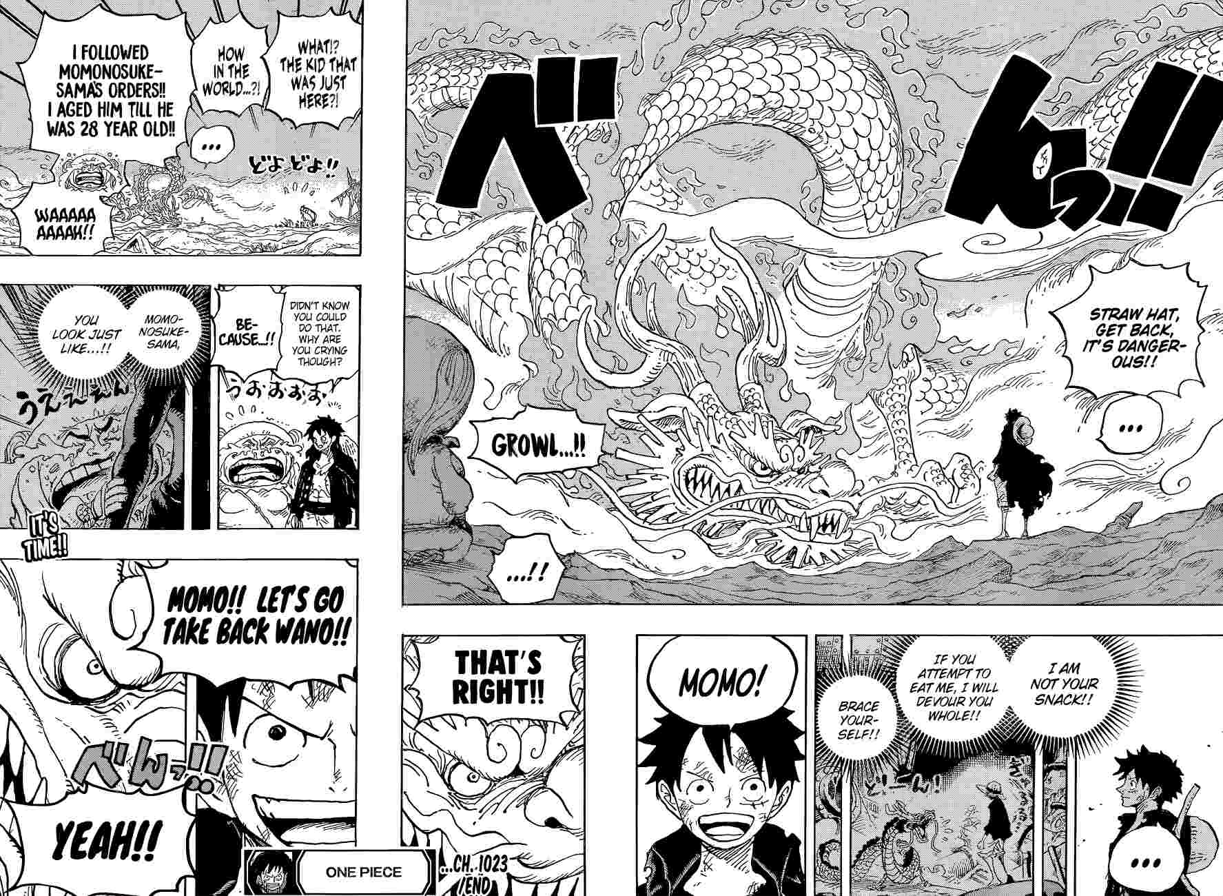 One Piece Manga Manga Chapter - 1023 - image 18
