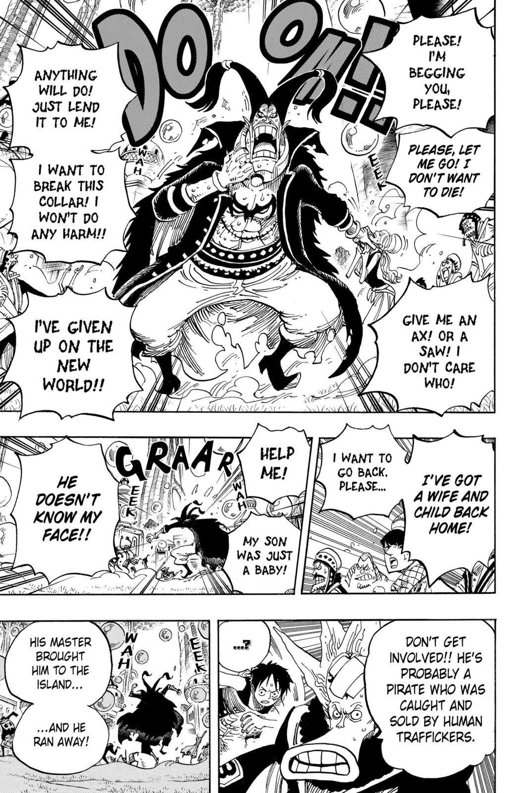 One Piece Manga Manga Chapter - 497 - image 13