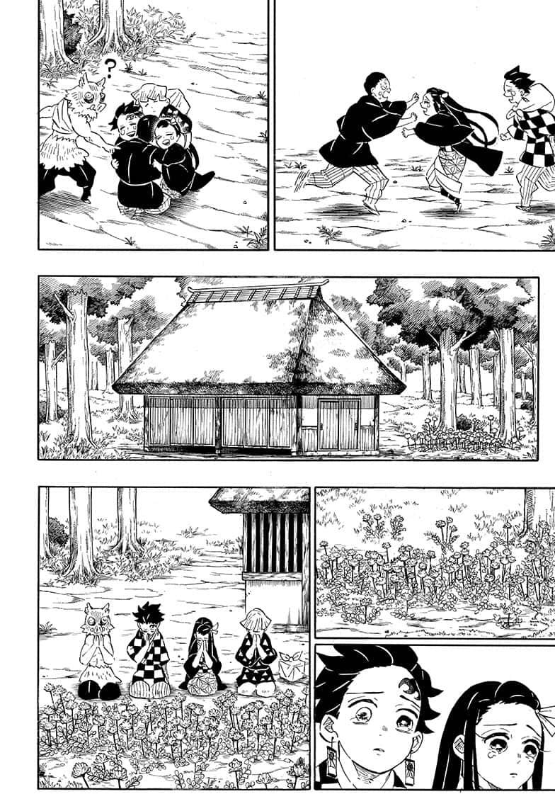 Demon Slayer Manga Manga Chapter - 204 - image 22