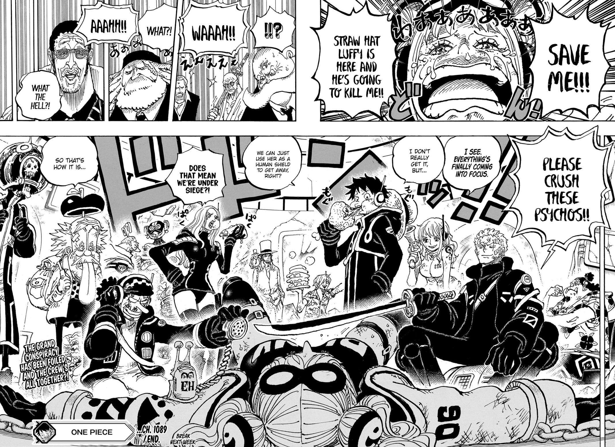 One Piece Manga Manga Chapter - 1089 - image 17
