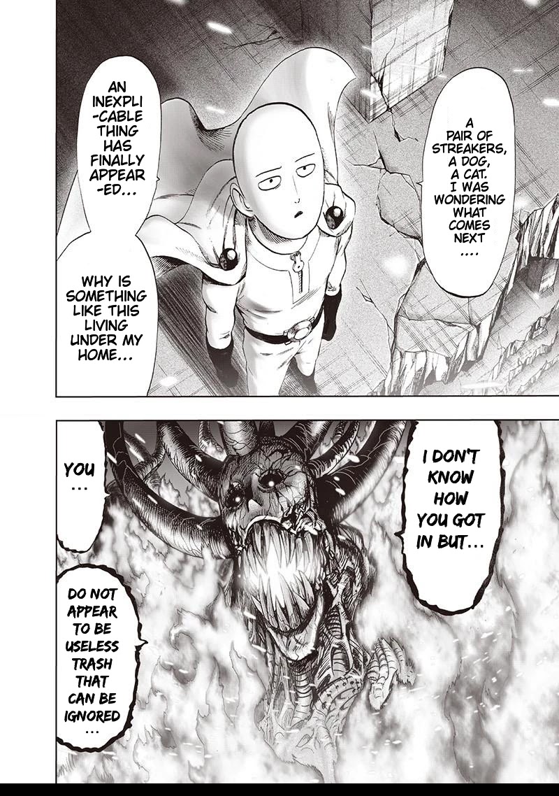 One Punch Man Manga Manga Chapter - 111 - image 20