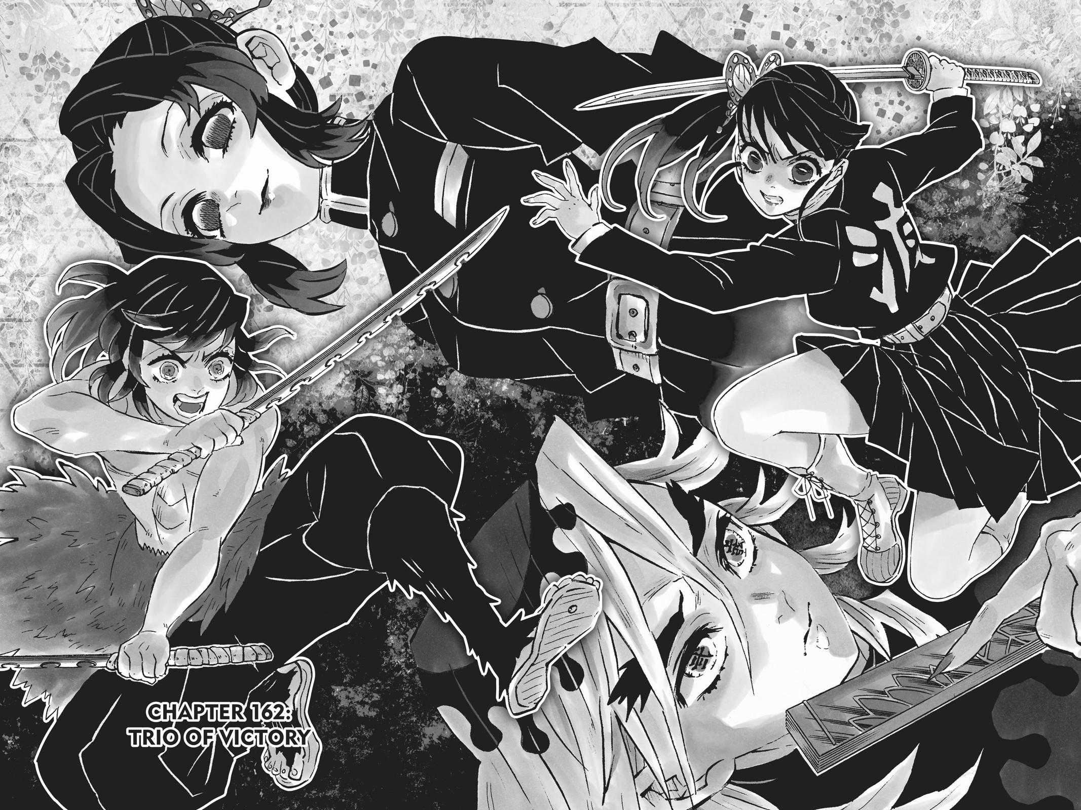 Demon Slayer Manga Manga Chapter - 162 - image 1