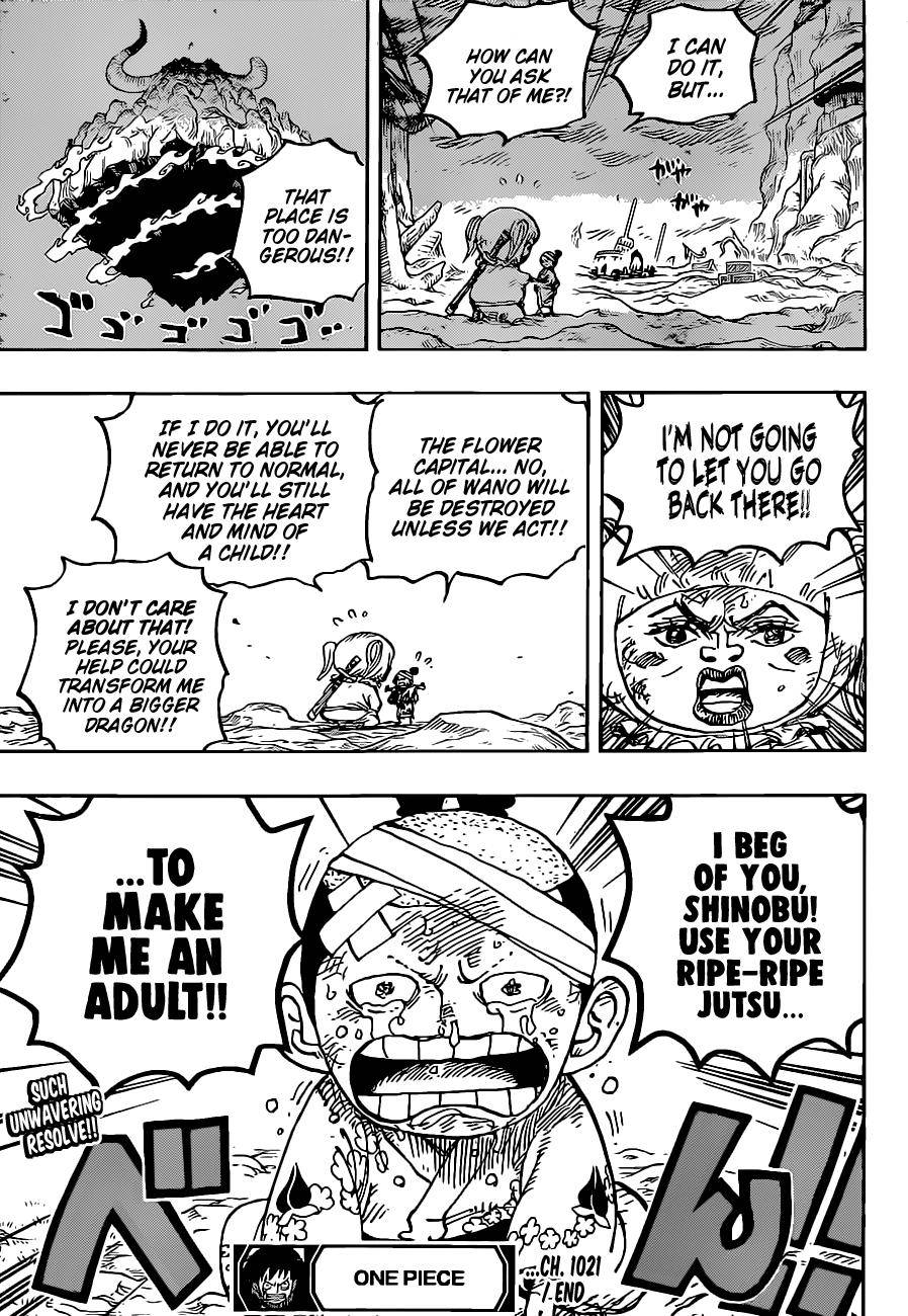 One Piece Manga Manga Chapter - 1021 - image 17