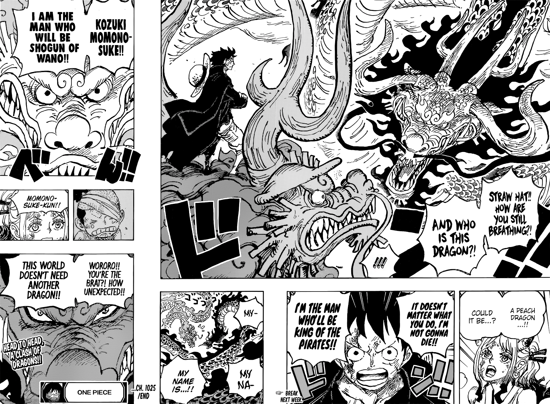 One Piece Manga Manga Chapter - 1025 - image 16