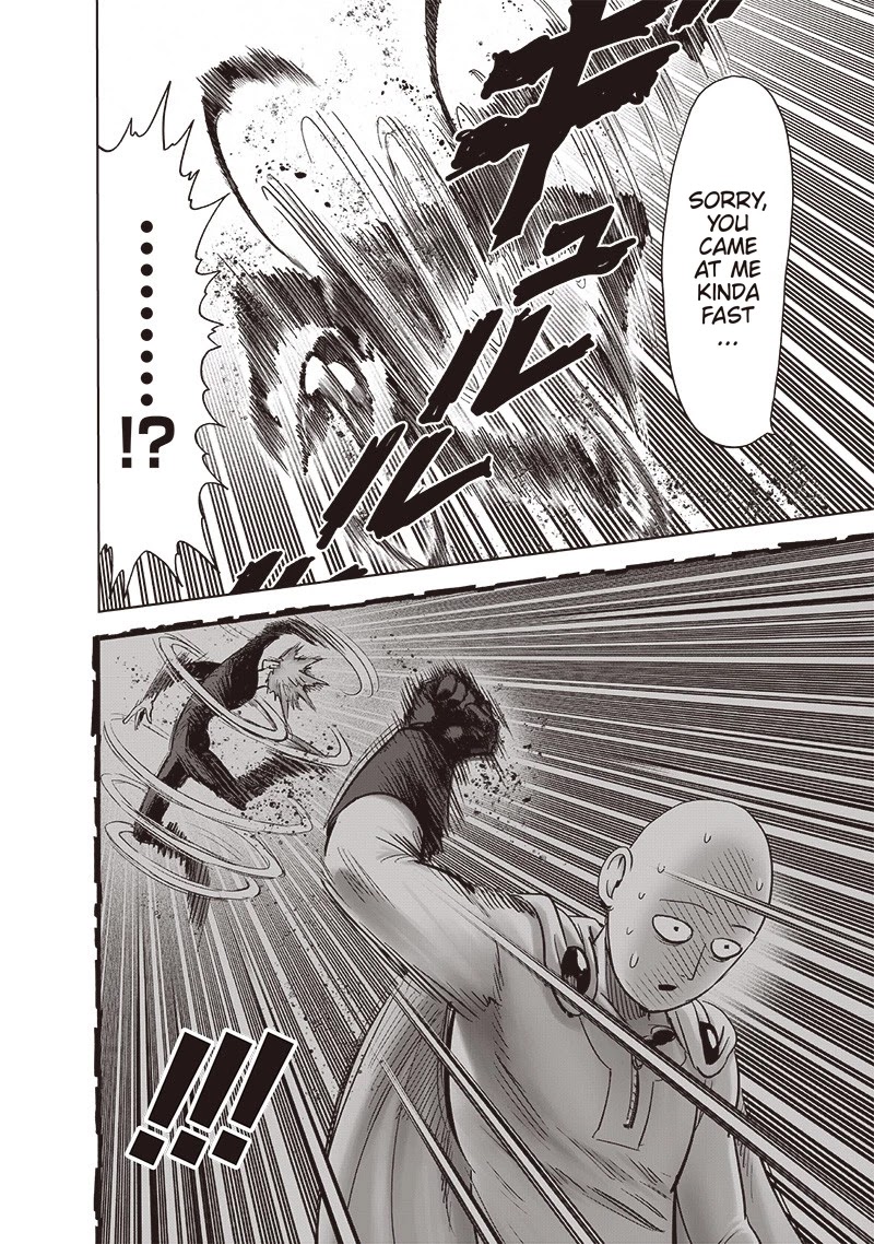 One Punch Man Manga Manga Chapter - 161 - image 19