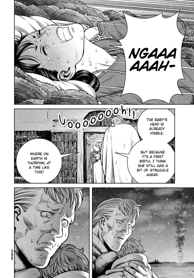 Vinland Saga Manga Manga Chapter - 207 - image 17