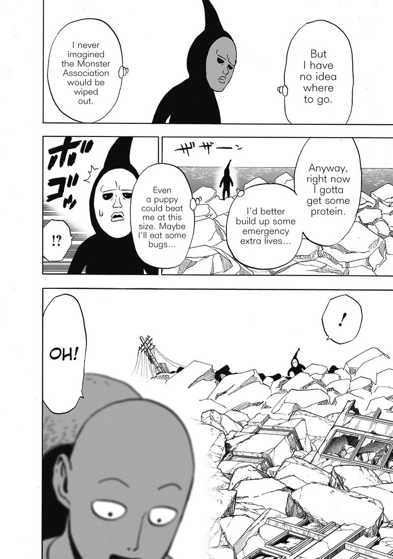 One Punch Man Manga Manga Chapter - 171 - image 21