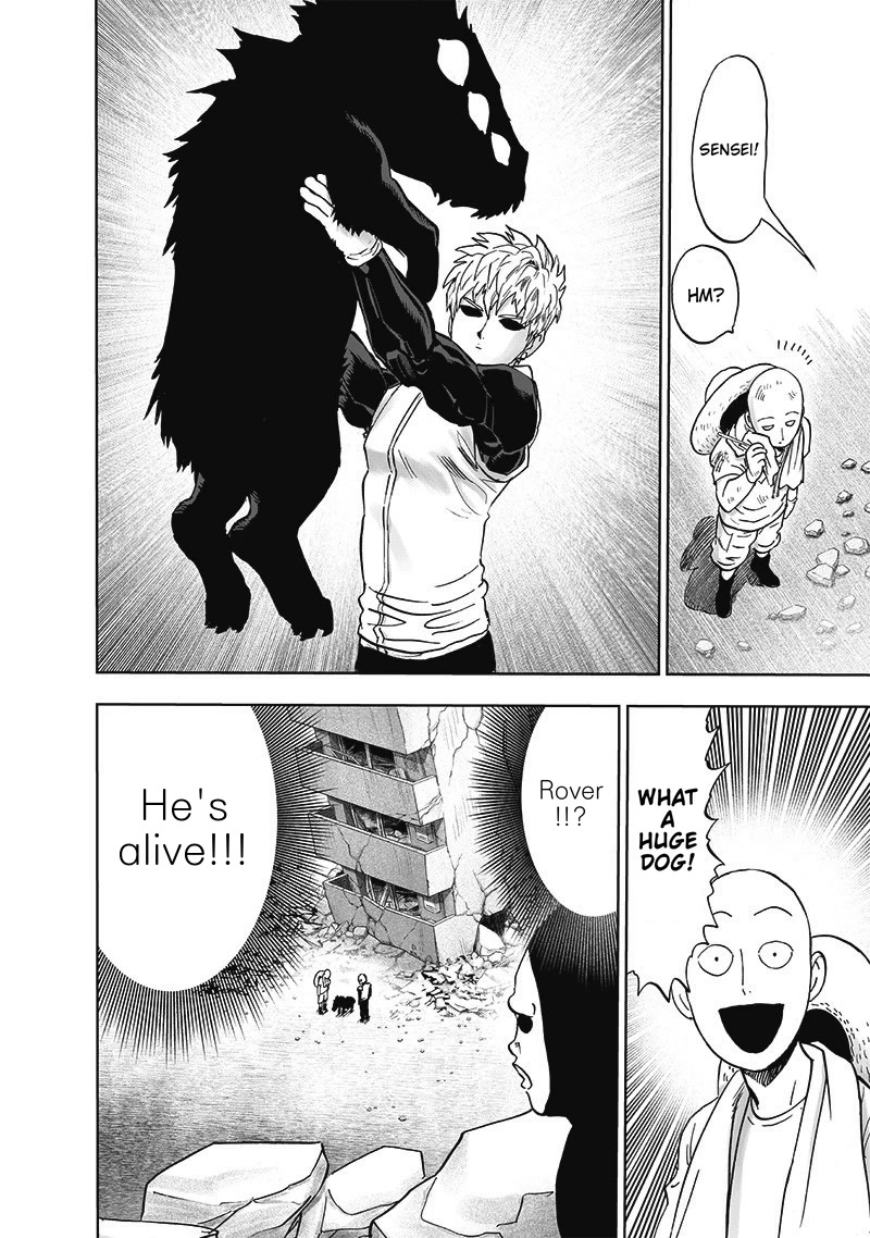 One Punch Man Manga Manga Chapter - 171 - image 25