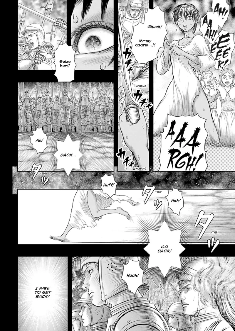 Berserk Manga Chapter - 372 - image 17