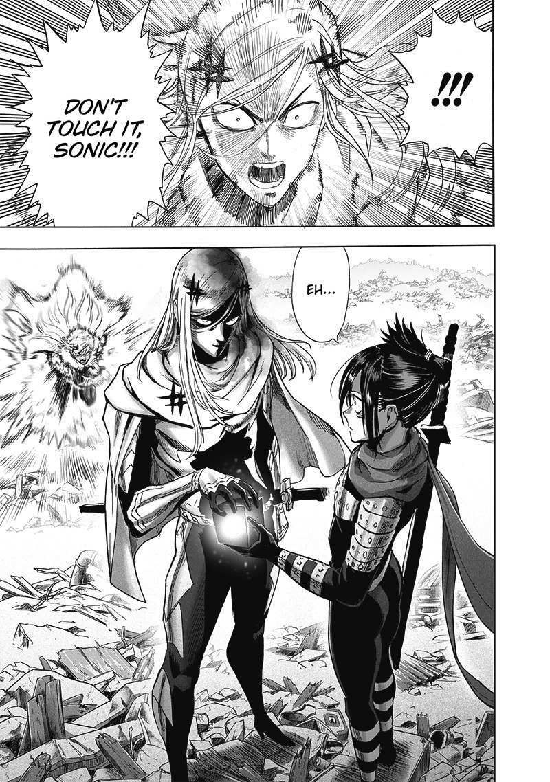 One Punch Man Manga Manga Chapter - 203 - image 10