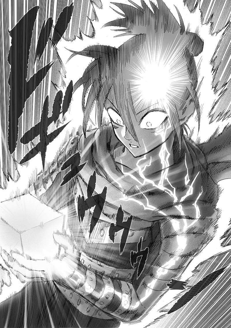 One Punch Man Manga Manga Chapter - 203 - image 11