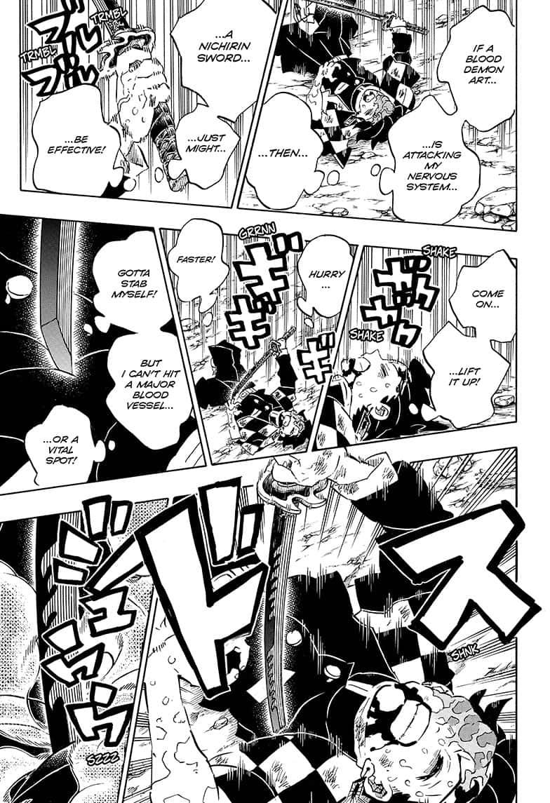 Demon Slayer Manga Manga Chapter - 197 - image 14