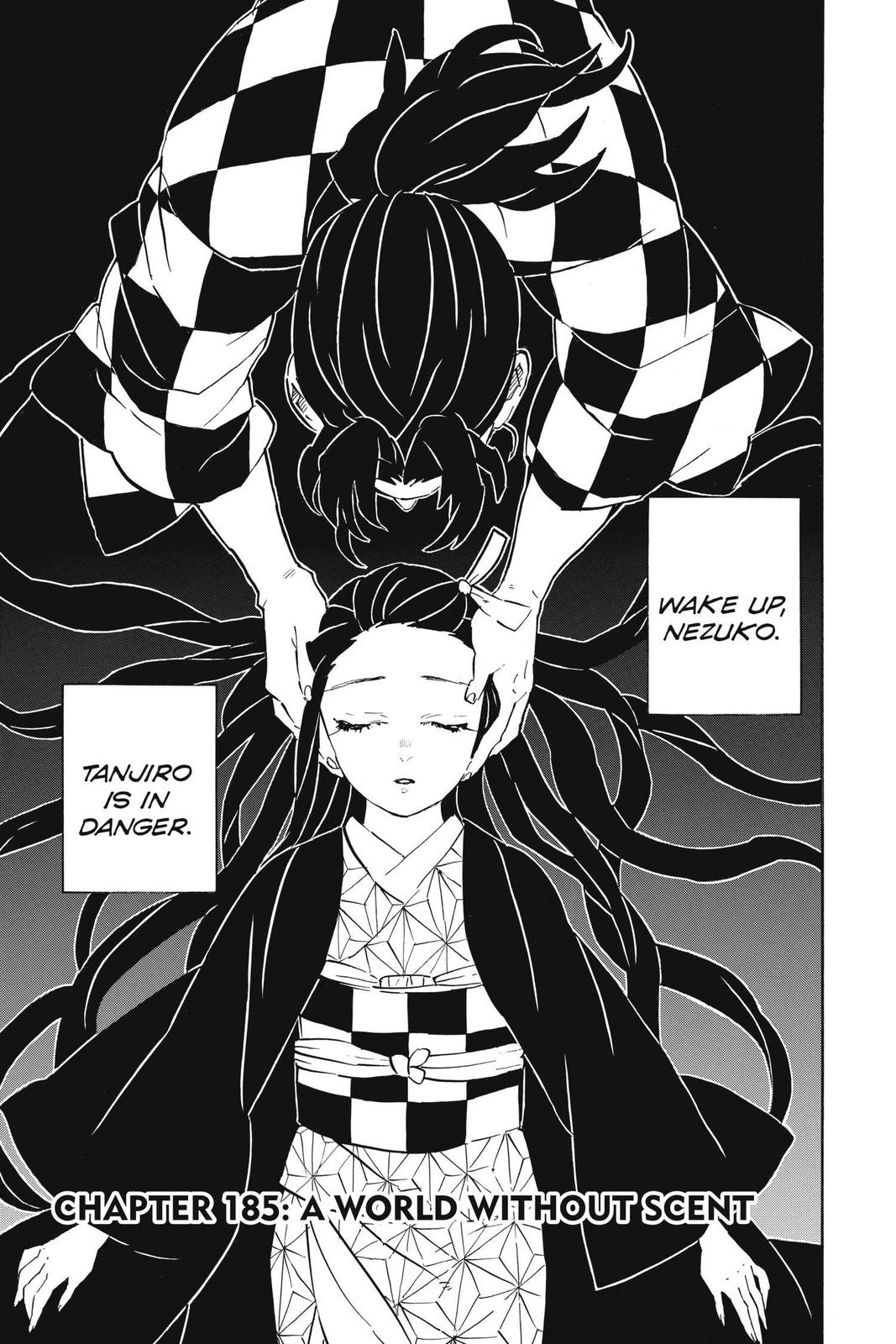 Demon Slayer Manga Manga Chapter - 185 - image 1