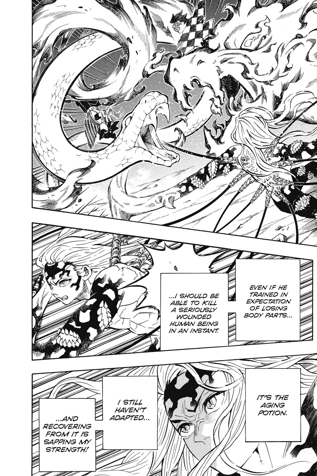 Demon Slayer Manga Manga Chapter - 194 - image 15