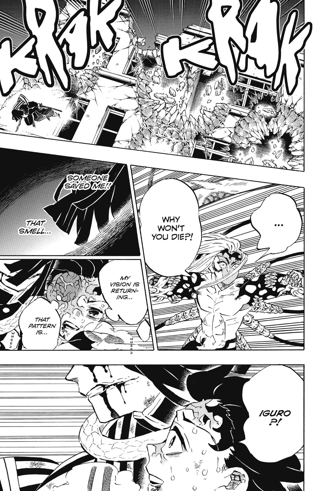 Demon Slayer Manga Manga Chapter - 194 - image 9