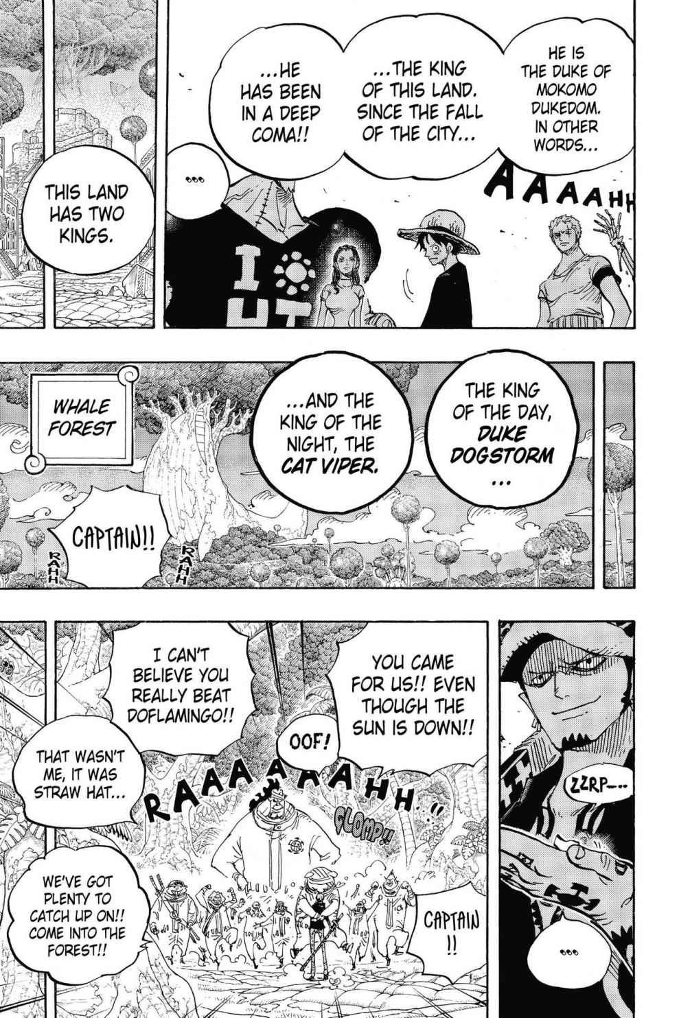 One Piece Manga Manga Chapter - 807 - image 20